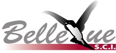 Logo SCI Bellevue